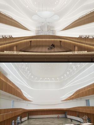 銀川圖書館（音樂(lè)廳）阻燃木紋膜造型-LX裝飾貼膜